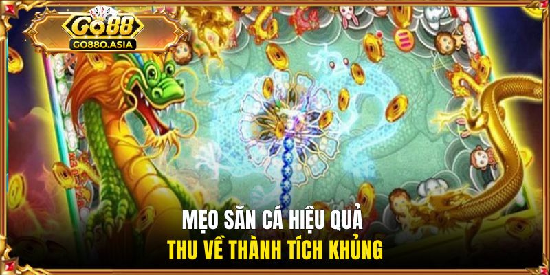 Mẹo săn cá hiệu quả thu về thành tích khủng