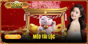 Mèo tài lộc