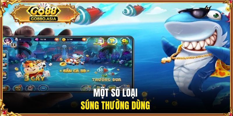 Một số loại súng thường dùng 