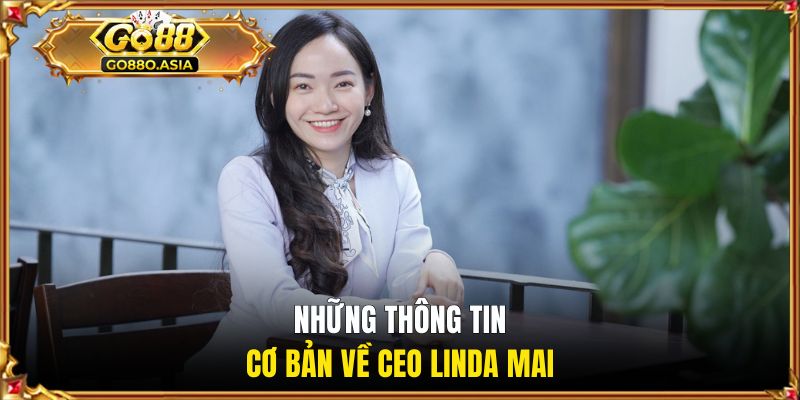 Những thông tin cơ bản về CEO Linda Mai